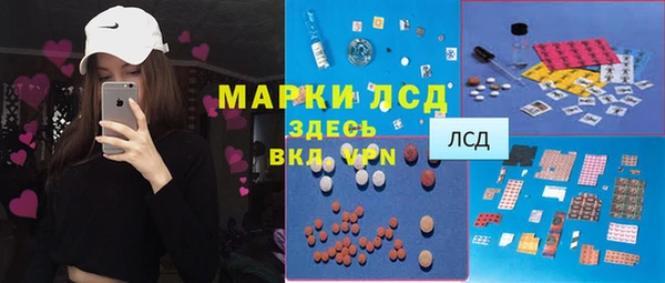 индика Ростов