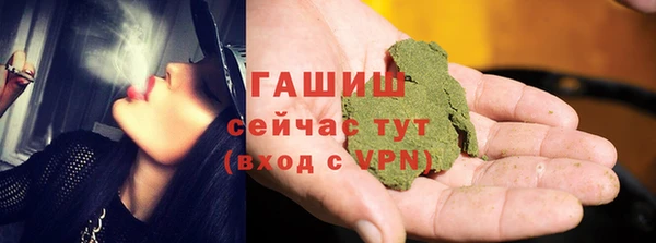 индика Ростов
