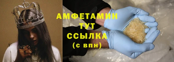 прущие грибы Беломорск