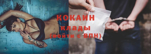 прущие грибы Беломорск