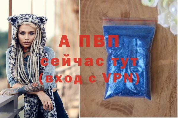 прущие грибы Беломорск